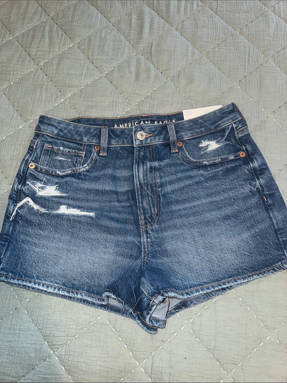 American Eagle Outfitters Blue Distressed Denim  Mom Jean Shorts